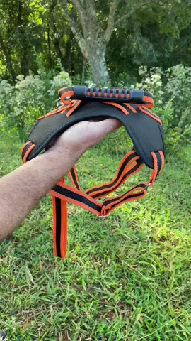 Conjunto peitoral e guia para cães! #cao #cachorrosfofos #cachorrosnotiktok #coleiraspersonalizadas #coleira #peitoralcao #peitoral #pet