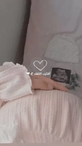 🤍✨️#حامل #حوامل #ترند #أكسبلور #fyp 