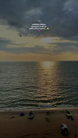 කෝ ඔයාගේ එක්කෙනා..🤍#fyp #foryou #tiktok #1millionaudition #fyyyyyyyyyyyyyyyy #senu_qoutes #fypage @Oshh🦋 