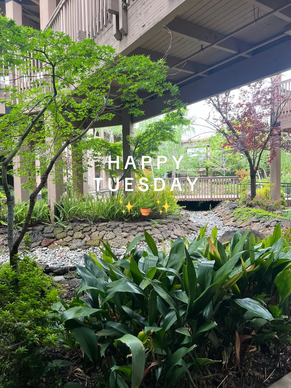 Life lately has consisted of my babies, school, work, lots of unpacking, alot of coffee. ✨🪴✨ #fyp #momtok #liferecap #2under2 #motherhood #girlmom #masters #jounaling #reflecting #contentcreator #latina #newhome #mftt #mft  #relateable #workingmom #mindfullness #HealingJourney 