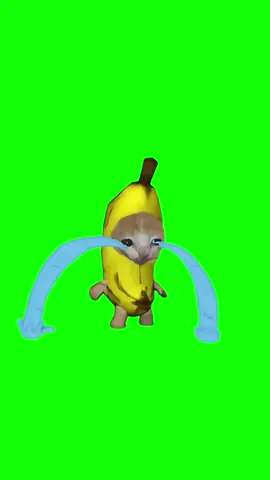 Banana cat crying meme green screen template. #meme #banancat #memes #cat #greenscreen #unblur #gluesong #flowerlangua #discord