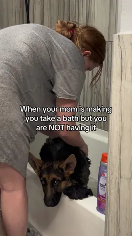 seconds before he jumped out 🛁 #betterlucknexttime #firstbath #germanshepherdpuppy 