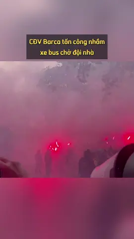 Những CĐV Barcelona này đã nhầm xe buýt, nhằm vào các cầu thủ PSG nhưng cuối cùng lại làm hỏng xe của đội mình 😭 #ucl #barcelona #cules #psg #championsleague #thethao247