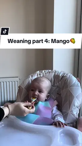 A wobbly start but she liked this one in the end!😂🥭🥰#CapCut #mangos #babyweaning #babyfood #babypuree #babyledweaning #babyledweaningideas #5monthsold #motherhood #newmum #firsttimemum #mumtok #mumtokuk #fyp #viral 