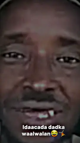 #MAXKAMADA__DADKA__WAALWALAN😂💔🐸#fypシ゚viral #somalitiktok2024🇸🇴🇸🇴😍❤️ #somalitiktok2024🇸🇴🇸🇴😍❤️ #foryoupage #somalilandtiktok💚🤍❤ #somalilandtiktok💚🤍❤ #fypシ゚viral #fypシ゚viral #fypシ゚viral #fypシ゚viral 