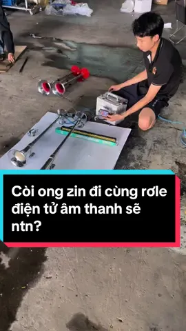 Khi Rơ le điện tự đi cùng Còi Ong Zin , Âm Thanh sẽ như thế nào?#kenong #kenongvang🎺🐝 #kenongtrang #danhkenxetai #xetai #xetaitiktok🚛 #doxetai #ahagara #ahagarahochiminh #dammexe #doken #dokensaigon 
