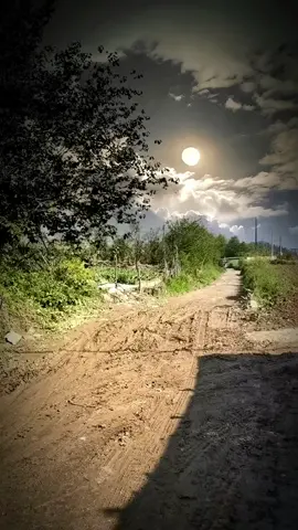 I really like this kind of atmosphere, nobody, gentle breeze, quiet and comfortable#Rurallife