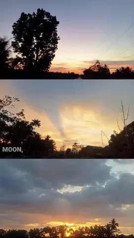 never get tired taking pictures of sunset🫶🥰#sunset #sunsetlover#sunsetvibes 