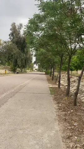 #الجامعة_التقنية_الشمالية 💚 .. . . . . . . . . #الموصل #العراق #ام_الربيعين #اكسبلور #اكسبلورexplore #explorepage #photography #tektok #iraq #mosul #تيك_توك #Love #explore #انستقرام #عيد_سعيد #غابات 