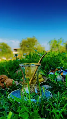 عندما تشرب متة في مكان بعيد عن ضجيج الحياة 🤍الراحة النفسية بذاتها🧉#رواق #راحة_نفسية #متة_العشق #تصويري📸 #ادلب_الخضراء #سوريا #سوريين 