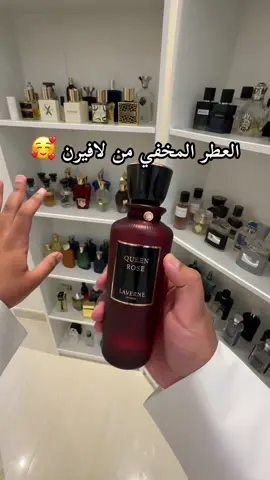 شنو العطر اللي عاجبكم ولا احد تكلم عنه من لافيرن؟ عطر كوين روز جميل وفخم ومخملي 😍 تحصلونه عند @لافيرن - LAVERNE   #عطر #جاسم_هاوي_عطور #fragrances #foryou #foryoupage #لافيرن 