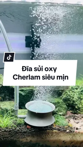 Đĩa sủi oxy đến từ thương hiệu Cherlam - lại là một món hàng ngon cho anh em chơi cá  #diasuioxy #cherlam #1996aquarium #xuhuong #thuysinh #ca #fish 