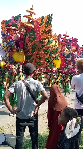 Sow..ANDI PUTRA.1#cininiHaurgelis 