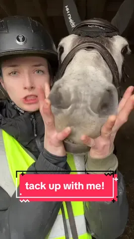 do you think she likes the squish? #equestrian #tackupwithme #tackup #horsetok #equine #horsesoftiktok #equestrianvibes #equestrianlife #horseriding #horsetiktok #horsegirl #horsesontiktok #fyp 