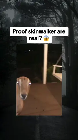 Proof skinwalker are real? 😱 #scary #skinwalker 