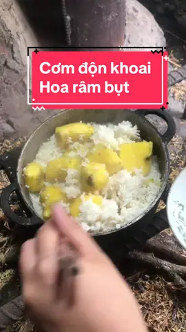 Ngày bé bạn có hay ăn cơm độn khoai không? #vethamque #xuhuong #ancungtiktok #tuoitho8x9x #hoiuc #kiniem 