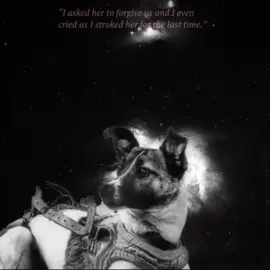 Forever crying over Laika </3 ˚. ✦.˳·˖✶ ⋆.✧̣̇˚. #laika #laikaspacedog #space #spacerace #astronaut #cosmonaut #sovietunion #History #dog #dogs 