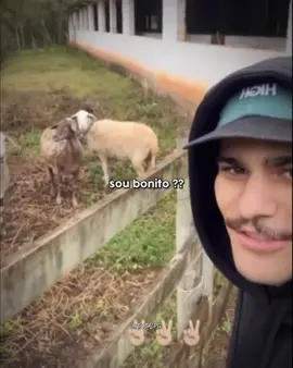 os melhores momentos do Lactea l #lactea #lacteameufi #engraçado #meme #viral