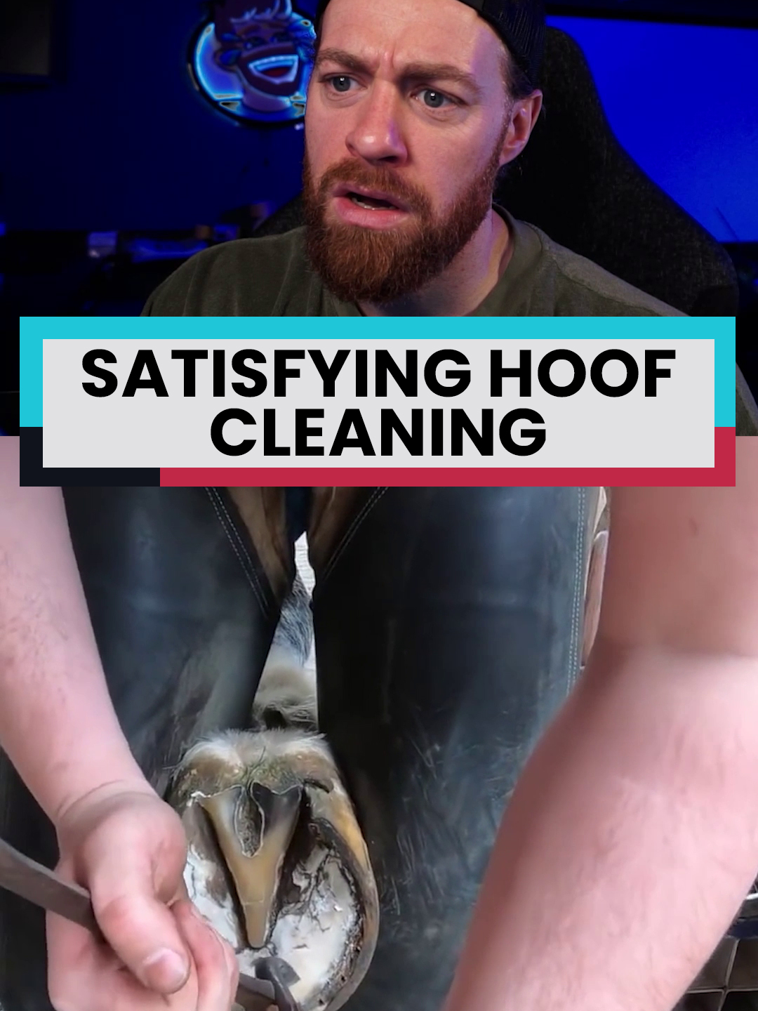 Hoof cleaning is so satisfying 🤯 #reaction #antosharp #satisfying