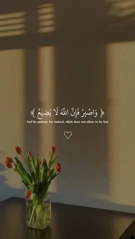 أقرب الآيات على قلبي 🥹❤️#قران_كريم  #قران_كريم_ارح_سمعك_وقلبك #تصميم_karimmohmed30 