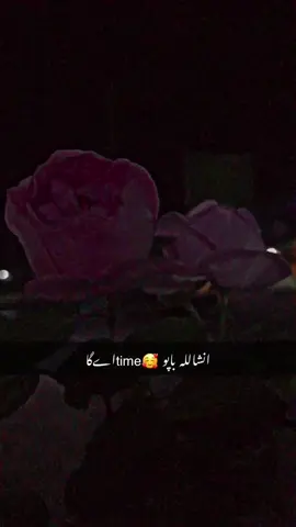 انشاللہ باپو 🕰️time اےگا#🌹🔥❤️foryoupage #varilvideo #🥰 