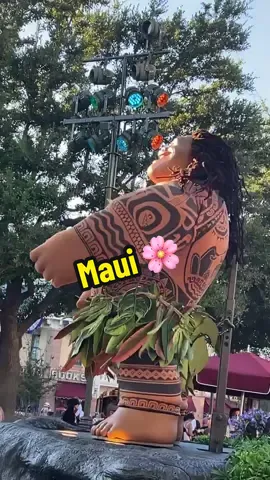 Maui gets down at disneyland! 