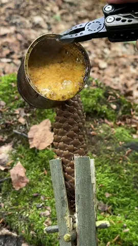 Survival Skills: Campfire made from Natural materials in the Wilderness. #survival #ideas #skills #Outdoors #bushcraft #lifehacks #camping #campfire #forest 