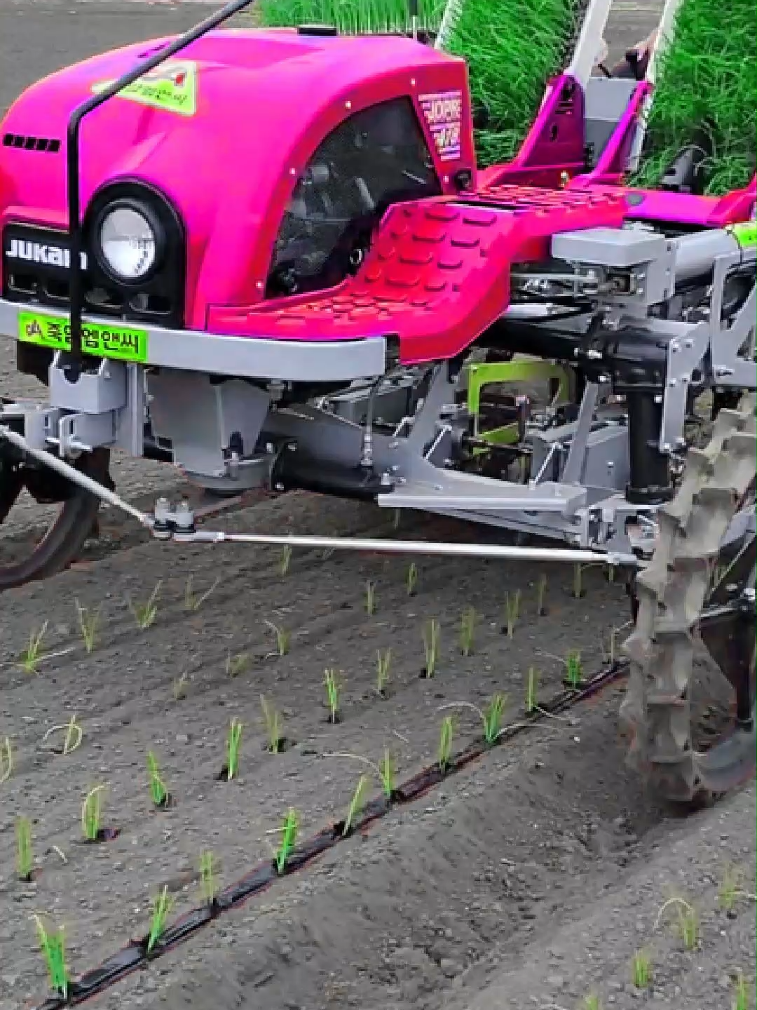 🧅 Onion Planting Technology🌼 #onions #vegetable #gardeningtips #viralpost #technologies#farmers#farming#machine#trending#trendingvideo#nyc#fyp #learn