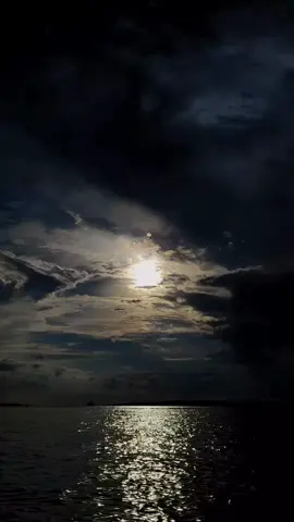 Rinduku tak pernah redah, masih terjaga dengan rasa yang sama,  hanya saja, kali ini tanpa kata, tanpa sapa, tanpa suara🥺🥀 #baubausulawesitenggara  #kabarakatinatanahwolio  #baubaupride🏝️🔥  #xyzbca #lagutimur  #fyp #fypシ゚viral 