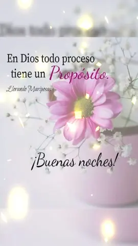 𝑩𝑼𝑬𝑵𝑨𝑺 𝑵𝑶𝑪𝑯𝑬𝑺 𝑨𝑴𝑰𝑮𝑶𝑺 #buenasnoches #musica #airsupply #musicadelayer #clasicosporsiempre #baladasromanticas 