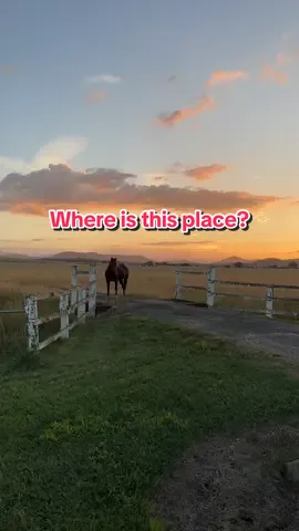 You won’t see this in the city… #horsesoftiktok #viralvideo #fyp #foryoupage #sunset  #onlyinaustralia #countrylife #sunsetlovers #outbackaustralia #farmlife 