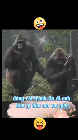 #hottrend #videohay #funnyvideos #tiktokxuhuong2024 #thanhlongtieng #cuoibebung123 #yeudongvat🇻🇳❤ #uoclenxuhuong #thinhhanh 
