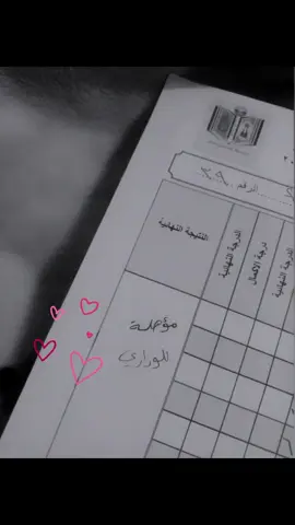 🩷🥹الحمدلله دخلت وزاري  #الثالث_متوسط #ثالثيون_2024 #البصرة #العراق #وزاري #iraq #school #fypシ #explore #fyp 