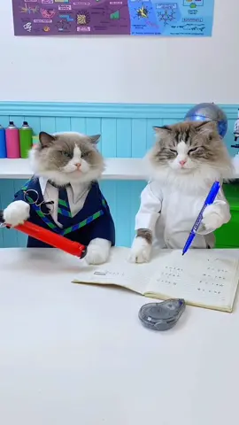 Is Puff being too tough or the question itself is? #ThatLittlePuff #teacherpuff 