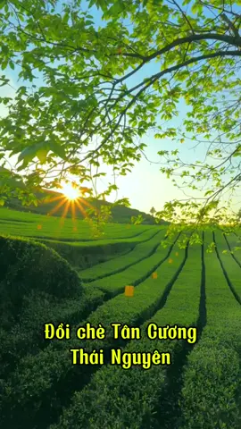 Bình minh ở một nơi xa!#taphoadulich #travel #xuhuong #doichetancuong #chethainguyen #thainguyen #xuhuongtiktok #thinhhanh #dulich 