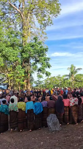 𝗚𝗔𝗪𝗜 𝗣𝗶𝗿𝗲 𝗣𝘂'𝘂 #gawi #adat #endeliosarepawe😍 #wolosambi🖤 #liopride🔥 #tariantradisional 