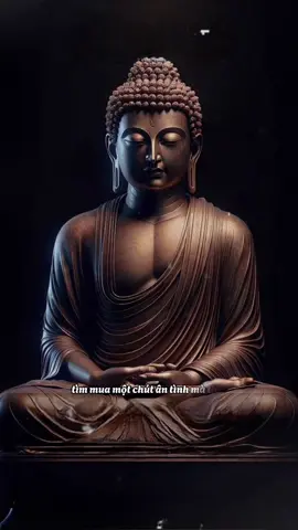 Tôi đi giữa chốn nhân sinh, tìm m.ua một chút ân tình mà thôi... #CapCut #tuetamhocphat🍀 #xuhuong #phatphapnhiemmau #tutaptaigia🍀 #chisephatphap🍀 #trichdanphatphaphay🍀 #nammobonsuthichcamauniphat 