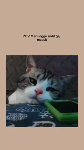 nungguin yang gk pasti emang mnyakitkan#4u #fyp #fyppppppppppppppppppppppp #xyzbca #funnyvideos #zyxcba #fypシ #sadvibes🥀 