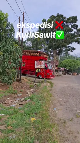 #ekspedisi ❌ #kurirsawit🌴🌴 ✅ #DESAK37 #driverganteng😎😎 #sulbar_mamuju #masukberanda #fyp #kemintraanberbayar #pastifyp #fyppppppppppppppppppppppp 