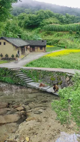 Familiar scenes, hometown at the bottom of my heart#RuralLife #HomesicknessMemories #Healing