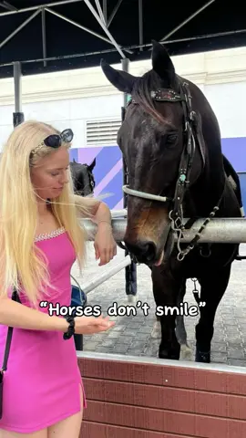 Or do they? 🧐😜 he’s the cutest! Always ready for a tiktok #CapCut #horsesoftiktok #equestrian #smile #horses #caballos #hästar #cavalo #foryou #fyp #fördig #parati #horseracing #greyhorse #viral #animals 