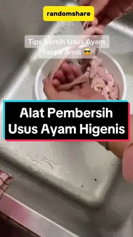 Alat Profesional Pembersih Usus Ayam #alatpembersihusus #carabersihinusus #racuntiktok #racuntiktokshop #racuntokped 
