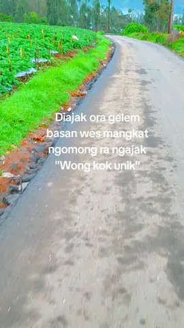 Tag kancamu sek ngono kui lurr penake di kapakne🥵 #wonosobo #dieng #xyzbca 