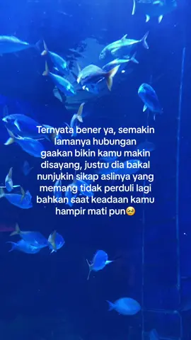 Berusaha ga liat itu, tapi dia nunjukin terus sikap tidak perdulinya😭dan itu sakit banget😔#sadstory #sadvibes #sad #fypsad #sadvibes #sadsong 