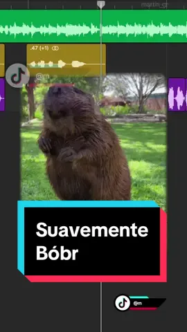 Bóbrmente Suavemente x Bóbr #remix #edit #mashup #funny #music #fyp #fypシ #foryou #bober #bobr #memes 