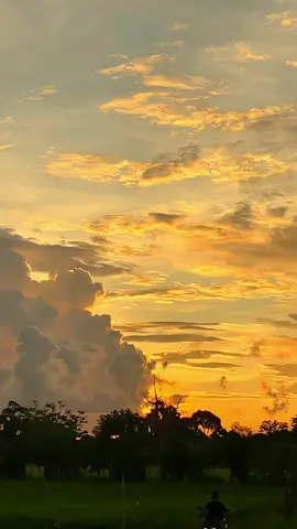 Nyoba view sawah ✨ #xyzbca #sunset 