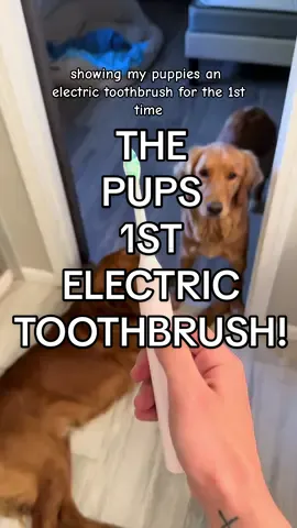 not Tate turning on Ellie at the end 🤣