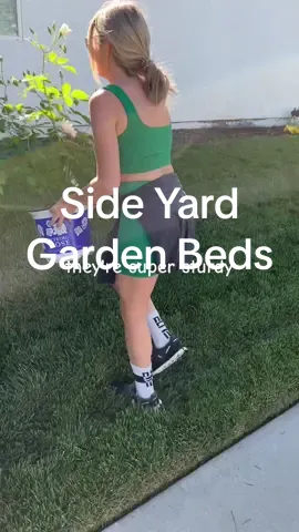 Attention to anyone with a green thumb and good eye for landscape design!!!! Help me decide what else to add here up aginst the wall in this side yard garden bed…should we add some height to cover the blank wall? Iceberg roses are my FAVORITE! They bloom year round and are so pretty!  #icebergroses #gardening #greenthumb #yardwork #roses #springclean #spring #landscape #landscapedesign #CapCut #fyp #viral 