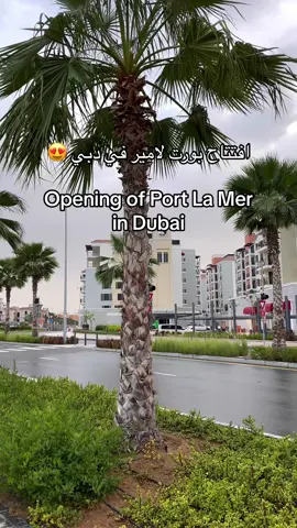 📍Port de La mer in Dubai #fypシ #foryou #beach #port #dubai 
