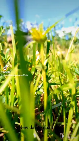 New Dance challenge by #commanderdanceofficial #commanderdancechallenge #dancewithcommander #commander #tiktokkenya #tiktokjamaica #foryourpage #foryoupage #for #foryou #foryou #fypage #fypシ゚viral #fypシ #fypシ #fyp #fy #thunderzfamily #goviral #NiGod #iposiku #antsdancecrewkenya #newdance #newdancechallenge #dance #dancer #dancechallenge #skeng 